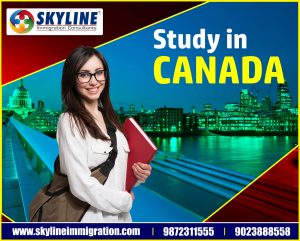 canada student visa process