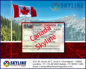 Canada study visa best consultants Chandigarh