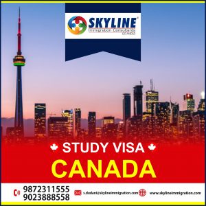 Best Visa Immigration Consultants Chandigarh