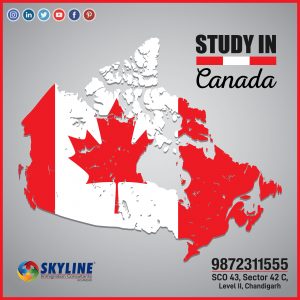 best study visa consultant in mohali