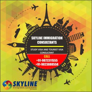 Best immigration top visa consultants
