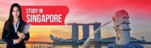 documents needed for singapore study visa