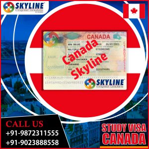 canada study visa requirements