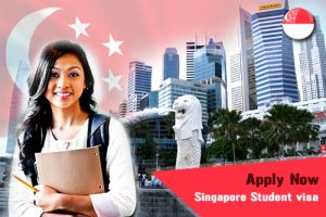 Requirements to Study in Singapore